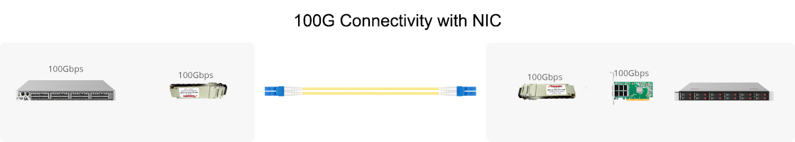 100G Connectivity with NIC